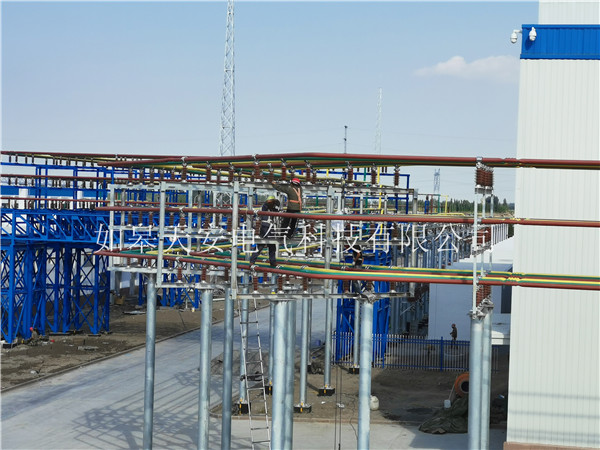 ��^����ĸ